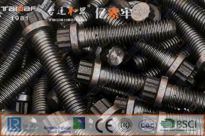 ASME/ANSI B18.2.7.1M美制12角法兰螺栓