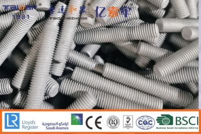 定制热镀锌双头螺栓